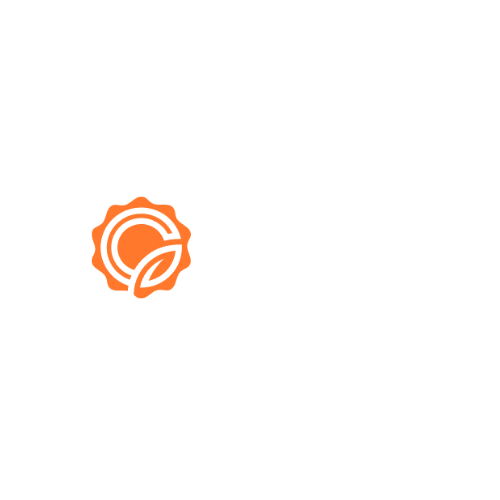 Canepa Construnct negru