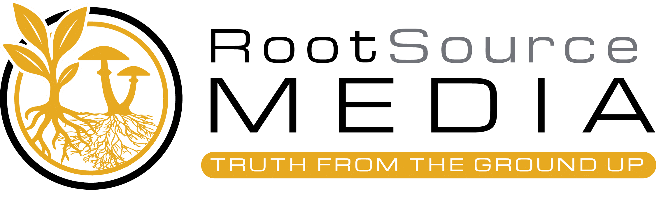 RootSource Media — partener media oficial